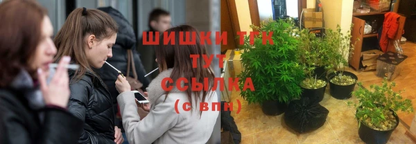 гидропоника Богородск