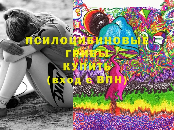 гидропоника Богородск