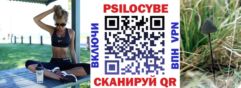 Галлюциногенные грибы Psilocybe  Костомукша 